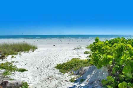 Townhouse At San Remo Διαμέρισμα Clearwater Beach Εξωτερικό φωτογραφία